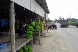 Warga sembilan desa di Langkat berharap bisa berjualan di beram jalan kabupaten