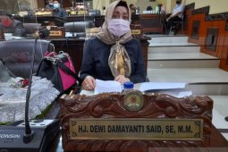 DPRD Kalsel harapkan ada terobosan kesamsatan dalam pandemi covid-19