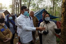 Ajari Mensos Risma nyadap karet, Edi Purwanto: ini pekerjaan saya waktu SMP