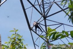 Breaking news, seorang warga di Aceh Barat nekat manjat tower SUTET di Meulaboh, sudah satu jam belum mau turun