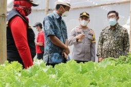 Kelurahan Banjarmlati Kediri berhasil "hijaukan" lingkungan