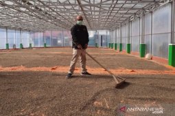 Pengamat: Optimalisasi SRG harus libatkan pemerintah daerah