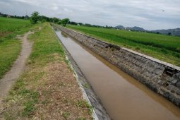 Alokasi air irigasi untuk pertanian di Tulungagung menyusut 40 persen