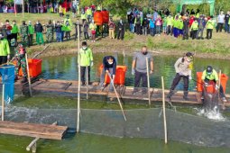 Sekitar 1,25 ton bandeng dipanen dari kawasan mangrove Surabaya