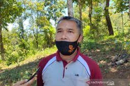 Hutan lindung Cianjur dalam kondisi kritis, sebut Perhutani