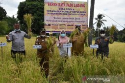 DPRD Gorontalo Utara dukung peningkatan produksi padi Ponelo