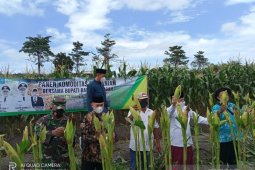 Pemkab Bangka Tengah siapkan strategi peningkatan ekonomi pascatambang