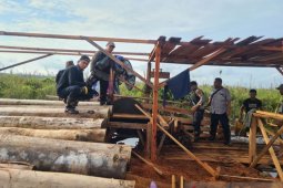 Patroli Satgas Karhutla Jambi  temukan aktifitas pembalakan liar