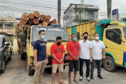 Polresta Jambi tangkap dua sopir pembawa kayu pembalakan hasil liar