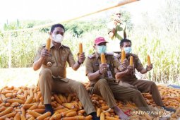 Balangan helps corn farmers with machine
