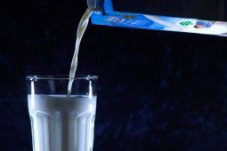 Tak semua susu sapi baik , baca label sebelum konsumsi