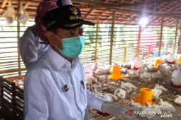 Disnaker Tapin buka peluang usaha untuk rakyat