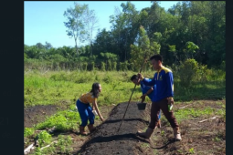 CITA ajak siswa SMK magang di kebun masyarakat binaan