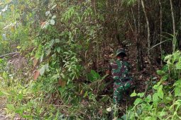 Program TMMD Kodim 1206/PSB, ringankan beban warga