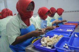 Harga Rajungan di Pamekasan Naik