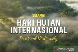 Hari Hutan, pakar dorong pemakaian produk hutan bersertifikat
