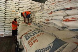 Anggota DPR minta perbaikan tata kelola beras