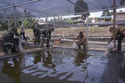 TNI bantu bibit ikan tingkatkan ekonomi masyarakat