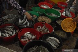 DKP Aceh sosialisasi program gemar makan ikan