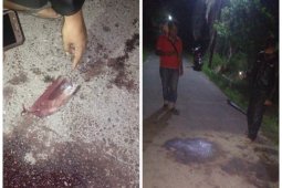 Mayat ditemukan di Kecamatan Binjai Utara, diduga korban penganiayaan