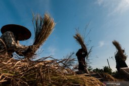 "Swasembada beras ini janganlah cepat berlalu"