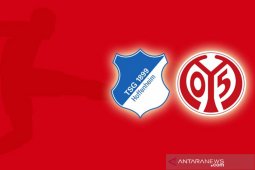 Mainz keluar zona merah selepas tundukkan Hoffenheim