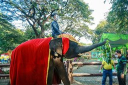 Wali Kota Eri ajak warga di Kota Surabaya jadi orang tua asuh satwa