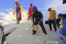 Kebijakan impor garam