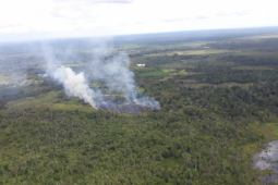 Lahan yang terbakar di Kabupaten Ketapang