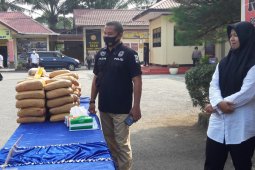 Polres Langkat tangkap 109 pelaku tindak pidana narkotika selama Januari-Maret