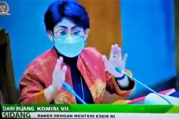 Menteri ESDM setujui pengadaan mesin PLTD atasi listrik 227 desa di Maluku