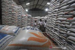 Stok beras impor Bulog