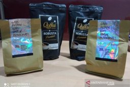 Dairi siapkan program kembalikan kejayaan Kopi Sidikalang