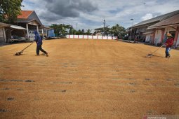 Daily wage of farmworkers up 0.17% in March