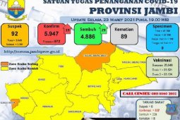 Sembilan kabupaten dan kota di Provinsi Jambi zona kuning COVID-19