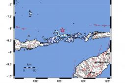BNPB terima info kerusakan akibat gempa Larantuka