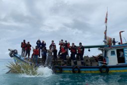 PT Timah tebar 55 rumpon di Laut Tanjung Gunung