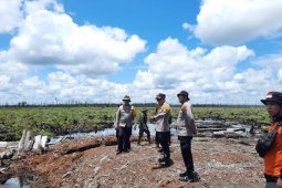 Revitalisasi sekat kanal antisipasi Karhutla di Jambi