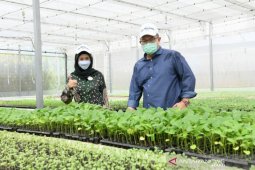 Desy Ratnasari kunjungi sejumlah wahana di kampus IPB University