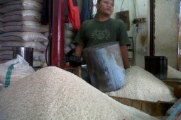 Persediaan melimpah Distan Sukabumi tegas menolak rencana impor beras