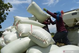 Harga Gabah Kering Panen di Madiun