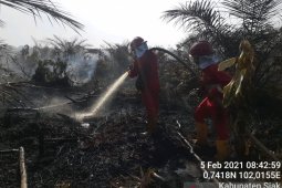 Memenjarakan pembakar hutan  dan lahan