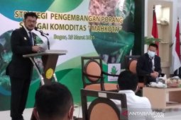 Mentan sebut permintaan ekspor komoditas porang meningkat