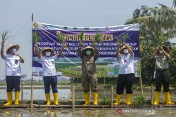Tanam perdana program Agrosolution Pupuk Indonesia