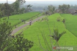 Tabanan siapkan tiga destinasi wisata untuk terima wisman pada Juli (video)