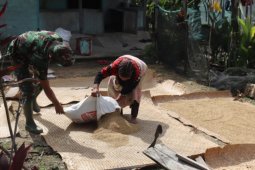 Anggota TMMD 110 Kodim 1206/PSB bantu jemurkan padi milik warga