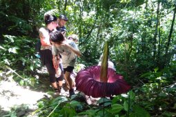 Pesona wisata alam Batu Katak Bahorok manjakan wisatawan