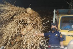 Customs foils smuggling of 100 tons rattan in West Kalimantan