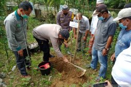 Polres Merangin  bersama warga tanam bibit tanaman produktif dibekas lokasi Peti