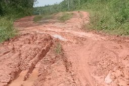 Kondisi Jalan PUPR Utama Mesuji makin rusak